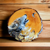Wood Paintings