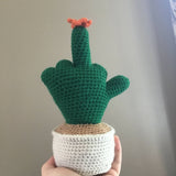 FU Cactus