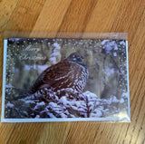 Spruce Grouse Christmas Card