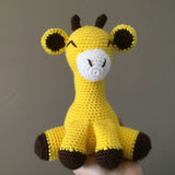 Sitting Giraffe