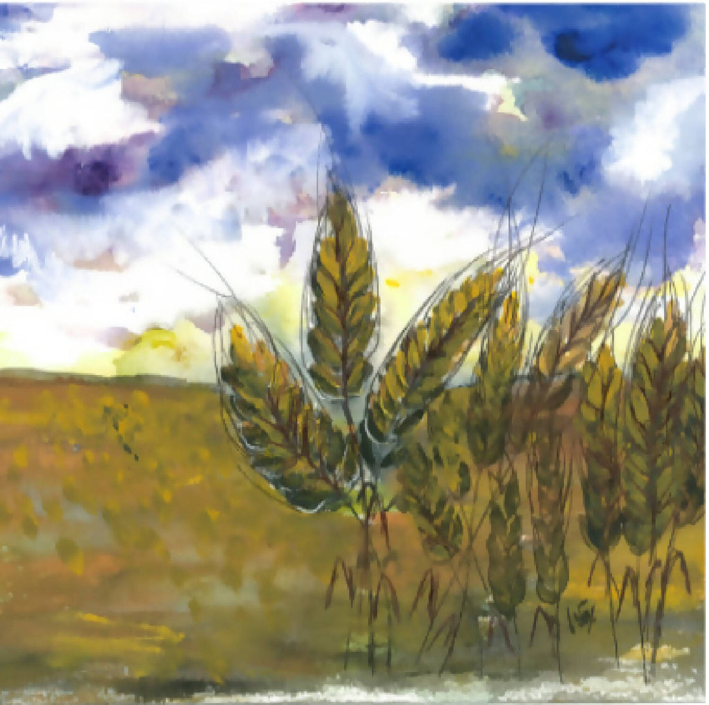 Blue Sky Wheat Greeting Card