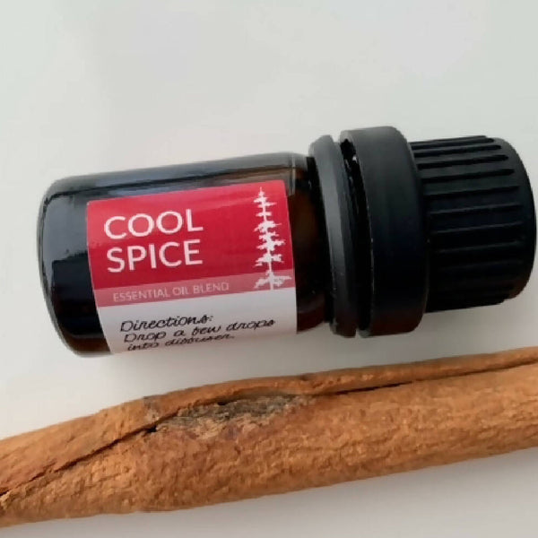 Cool Spice EO Diffuser Blend